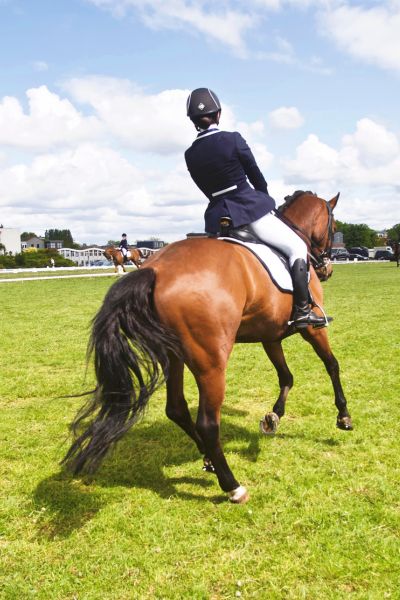 Horse and rider enter the show arena with confidence